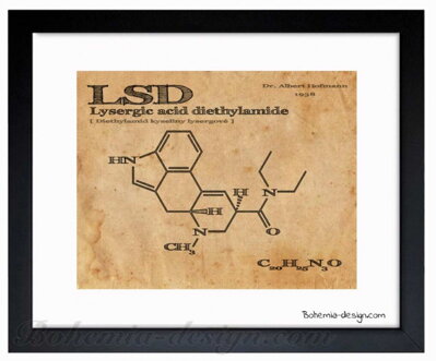 Ilustrace LSD / 30x40 cm